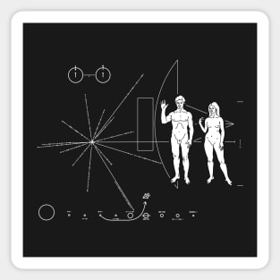 Pioneer plaque Too small ! Sticker